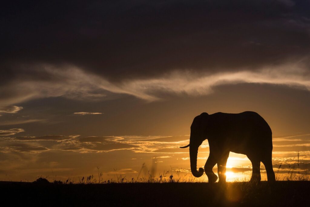 056-LS-landscape_83969855