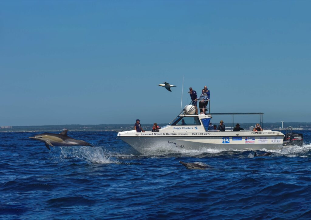 _DSC1484 2-Edit copy