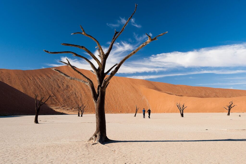 Guided_and_self-drive_visits_to_Sossusvlei_and_Sesriem