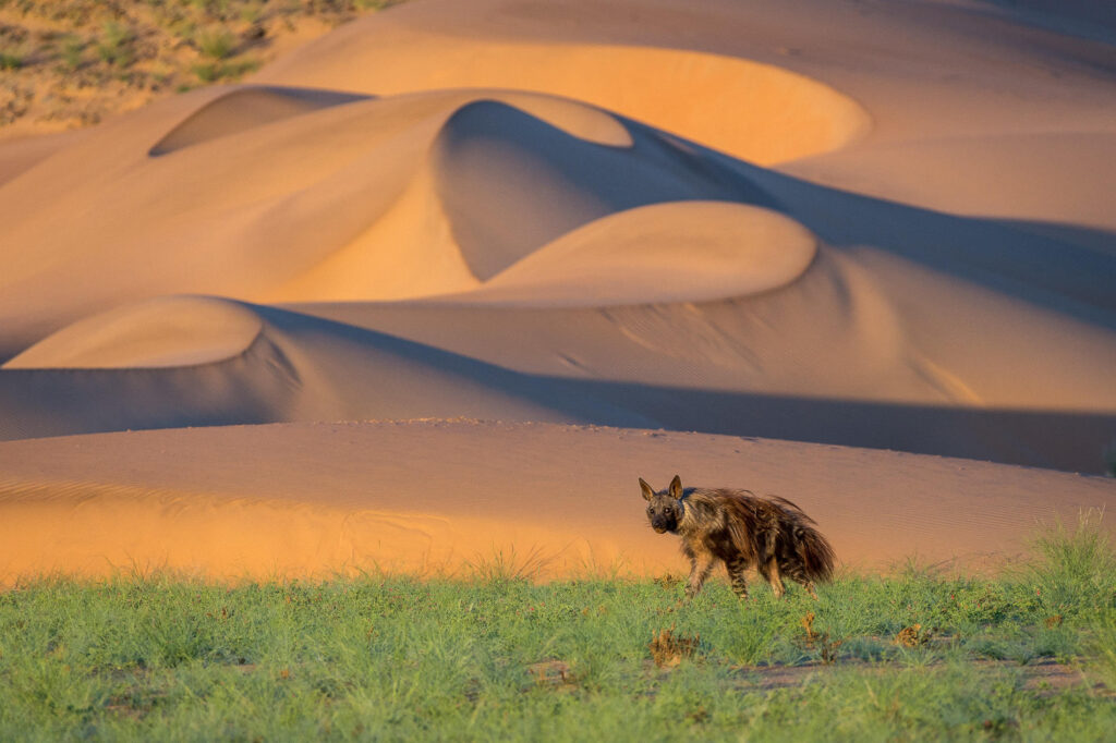 Wilderness Serra Cafema_37