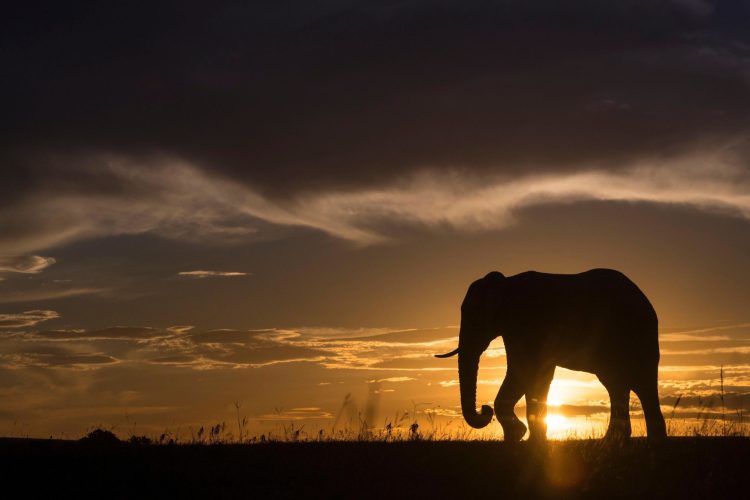 056-LS-landscape_83969855