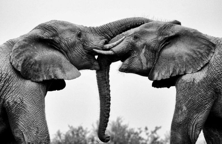 061-FAD-adventure_83969842