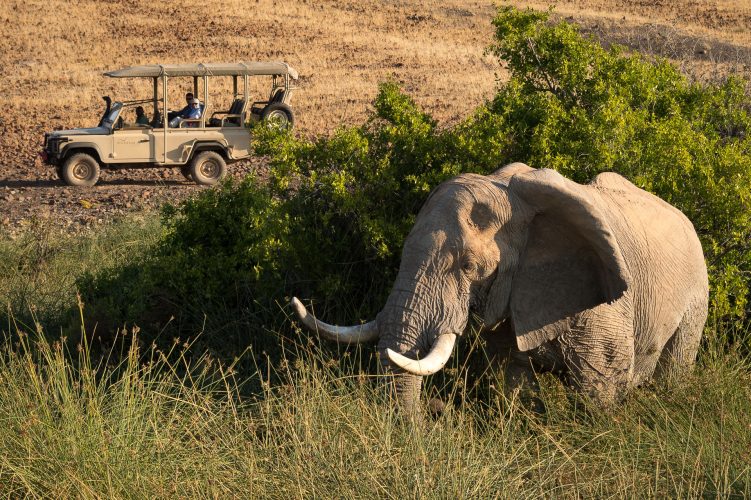 Desert Rhino Camp