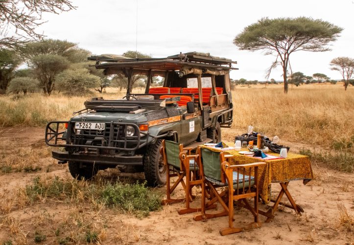 Honeyguide Tarangire Camp (46)