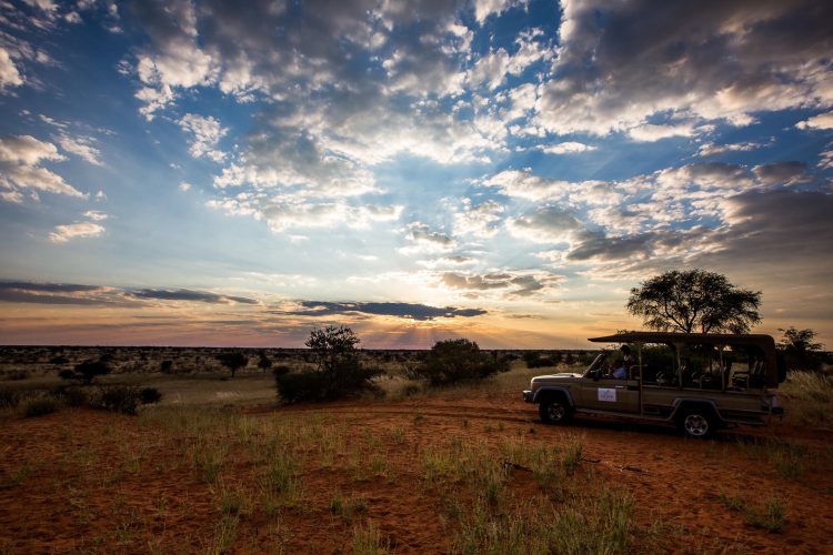 Kalahari Anib Lodge _9