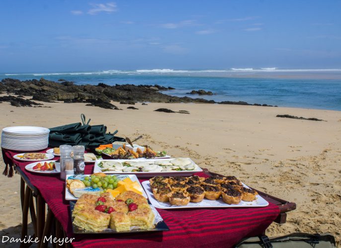 SGR - Beach picnic (Danike Meyer) (4)