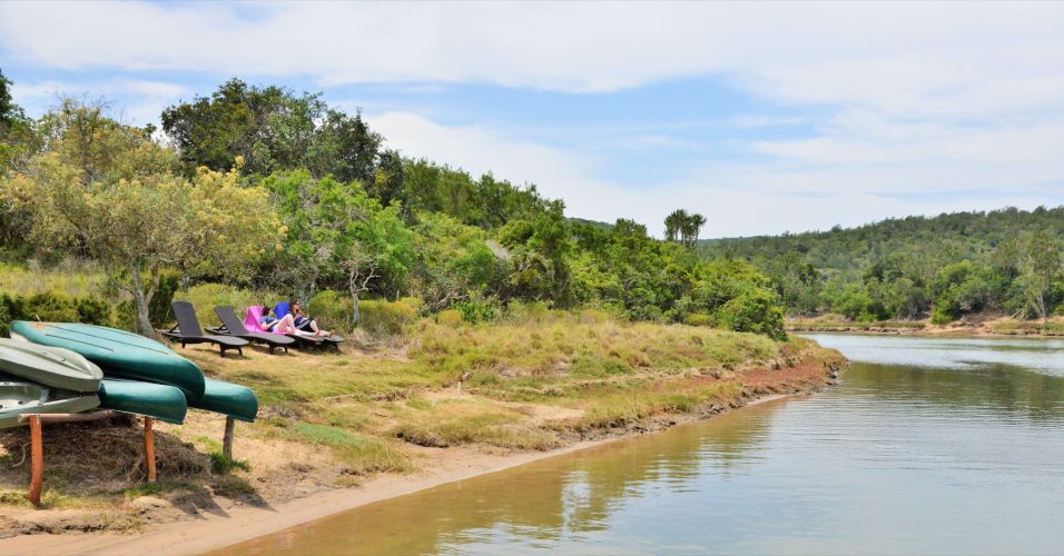 SGR - Forest Camp loungers on river 1