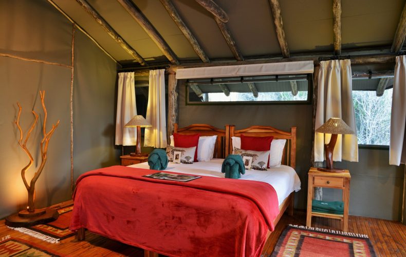 SGR - Forest Camp tent interior 5