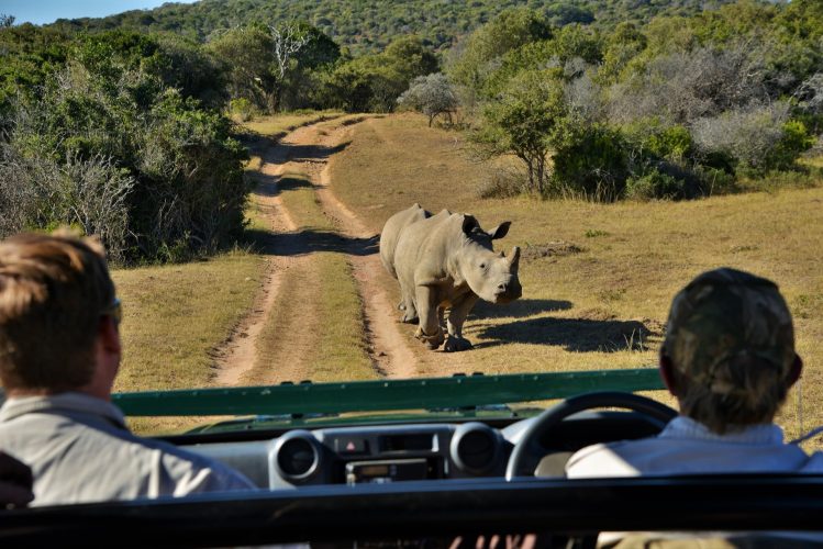 SGR - Game drives 3