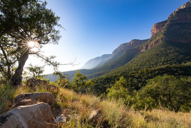 Sunrise at Cape Vulture Conservancy