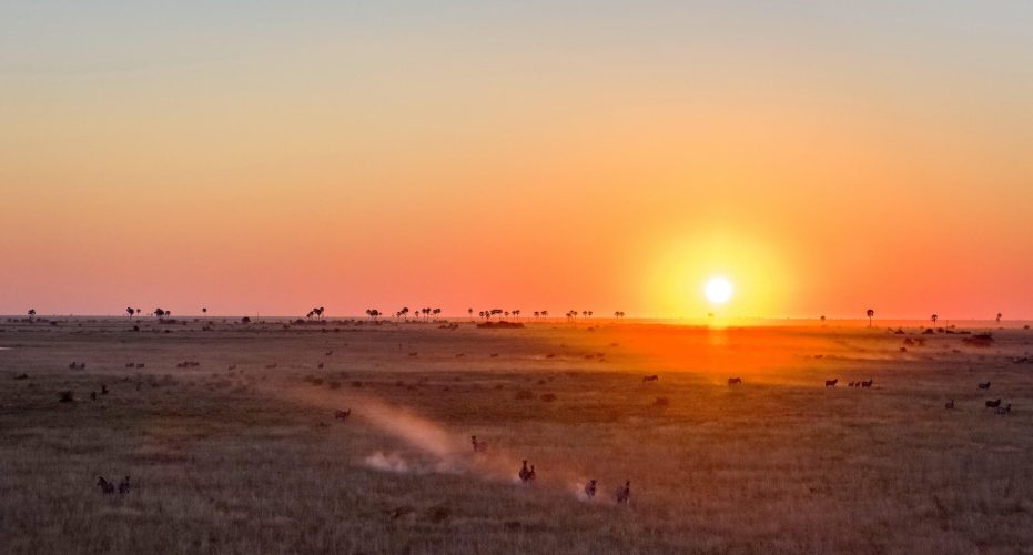 Sunset in the Makgadikgadi