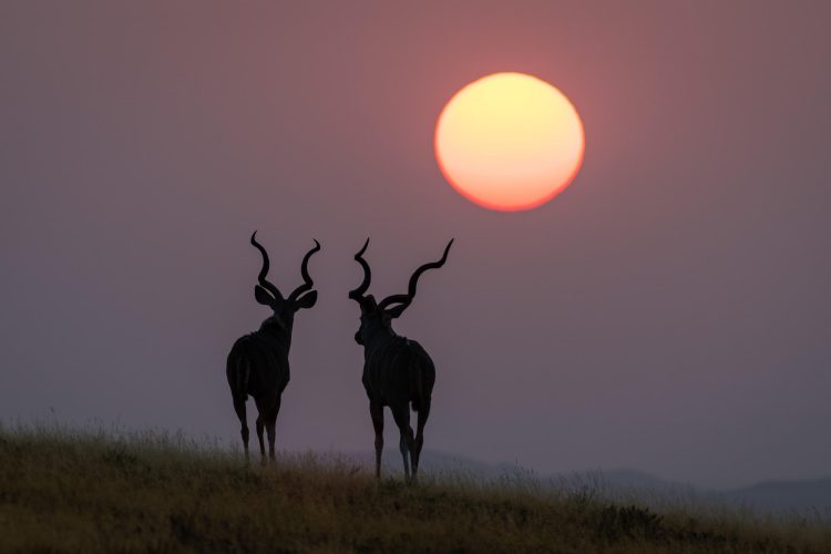 Wilderness Damaraland Camp_24