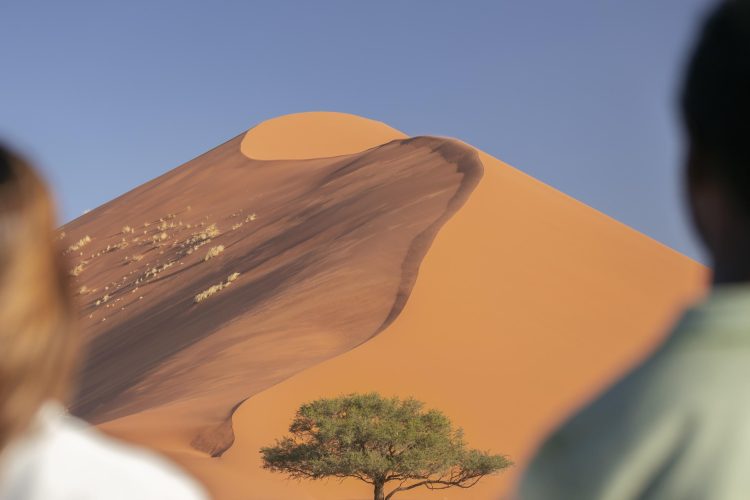 Wilderness Little Kulala