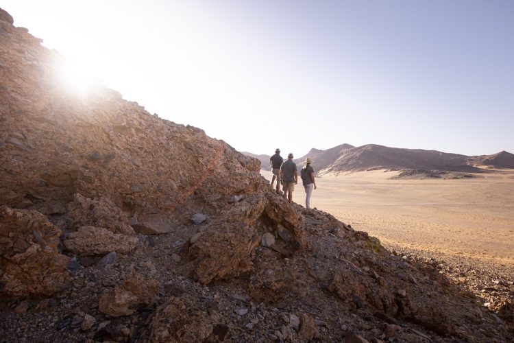 Wilderness Little Kulala_30