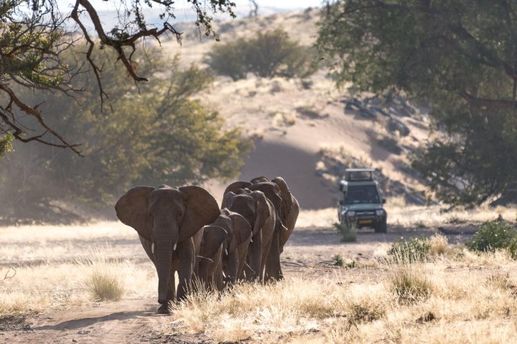 damaraland_08-18_-147e1