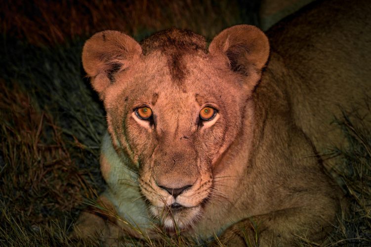 jao_reserve_2015-06-113e