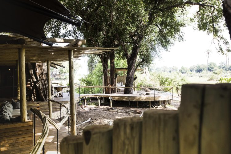 wilderness-mombo-crookesandjackson-9726