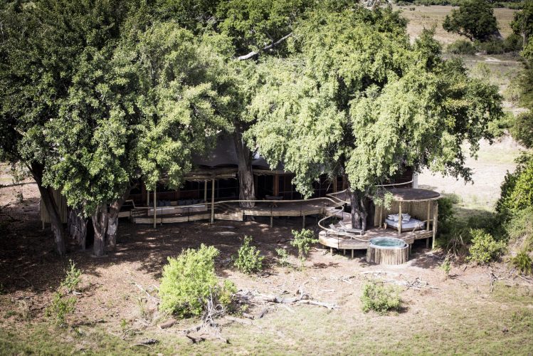 wilderness-mombo-family-18-1070